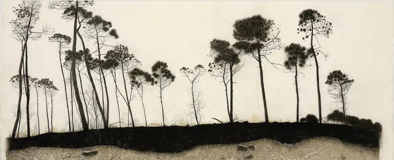 Exposition &quot;La part du feu&quot; de Claire Forgeot