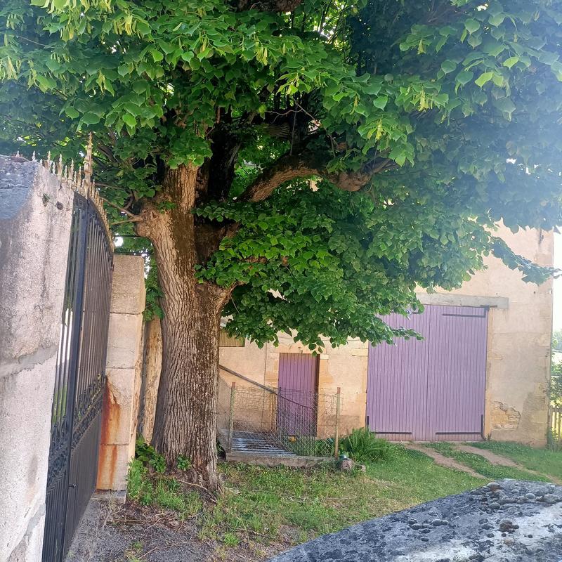 Propriété - 200 m² - 12 pièces