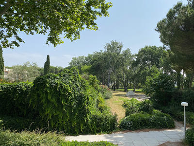 Appartement - 24 m² - 1 pièce