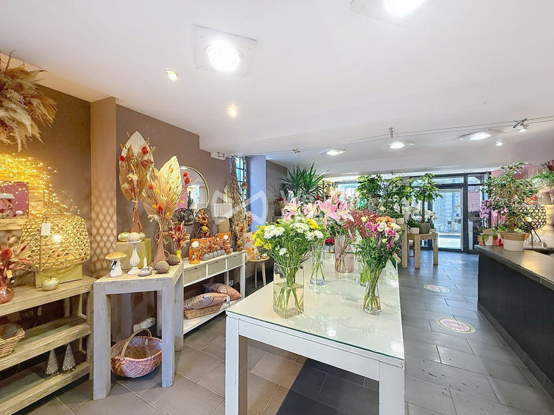 Fonds de commerce - Magasins - 210 m²