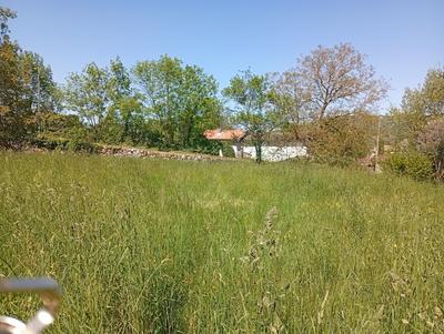 Terrain constructible - 1 100 m²