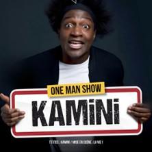 Kamini - il Faut que je vous Explique