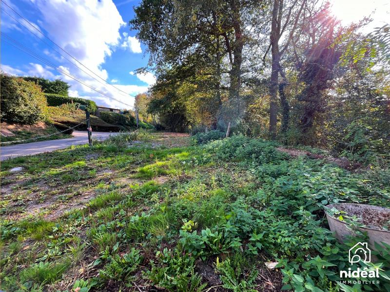 Terrain de loisirs - 6 648 m²