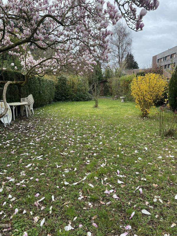 Maison traditionnelle - 85 m² - 4 pièces