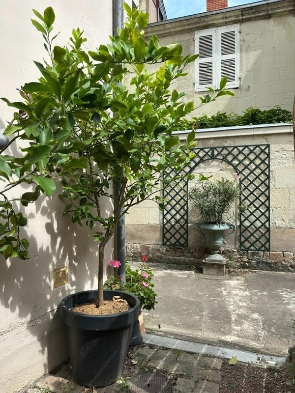 Appartement bourgeois - 89 m² - 3 pièces