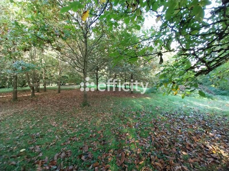 Pavillon - 200 m² - 7 pièces