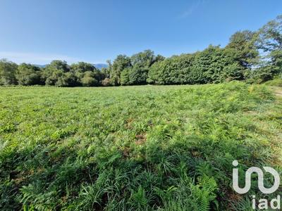 Terrain agricole - 12 539 m²