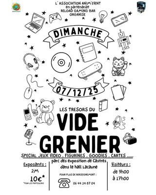 Vide grenier geek et pop culture