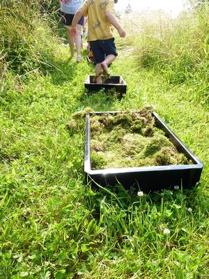 Atelier nature pour les moins de 3 ans : les tout-petits en sortie