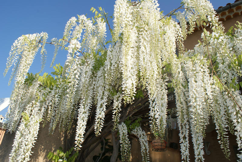 Maison - 200 m² - 6 pièces