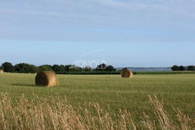 Maison - 158 m² - 10 pièces