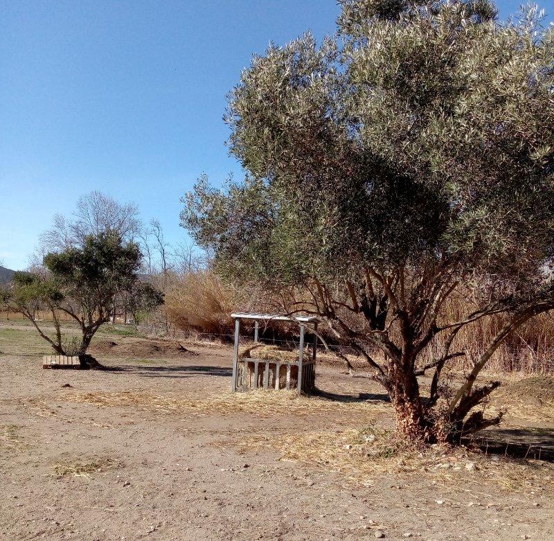 Terrain de loisirs - 8 000 m²