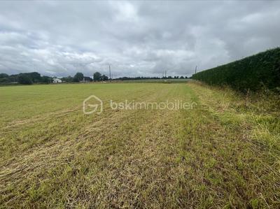 Terrain - 2 151 m²