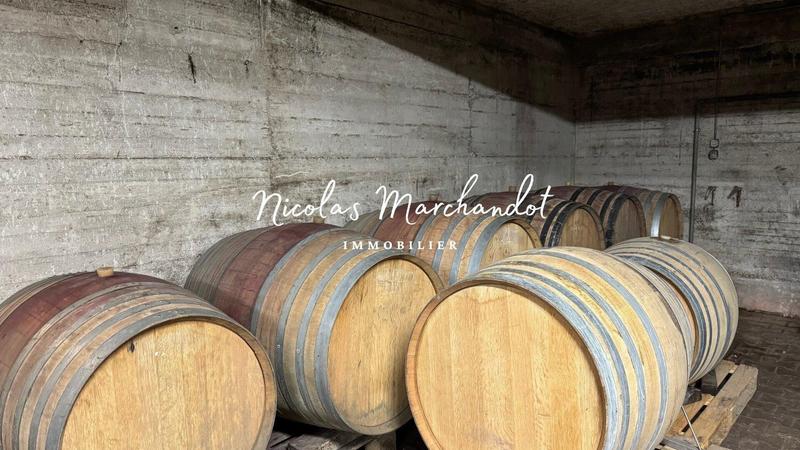 Local commercial - 130 900 m²