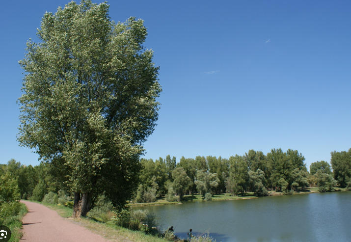 Terrain constructible - 473 m²