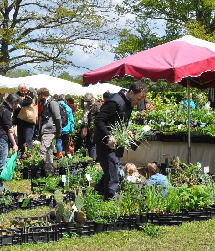 Journées des plantes de printemps