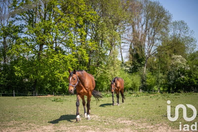 Maison - 142 m² - 5 pièces