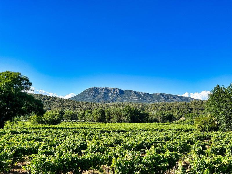 Appartement - 150 m² - 6 pièces