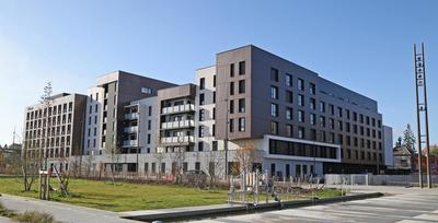 Studio - 18 m² - 1 pièce