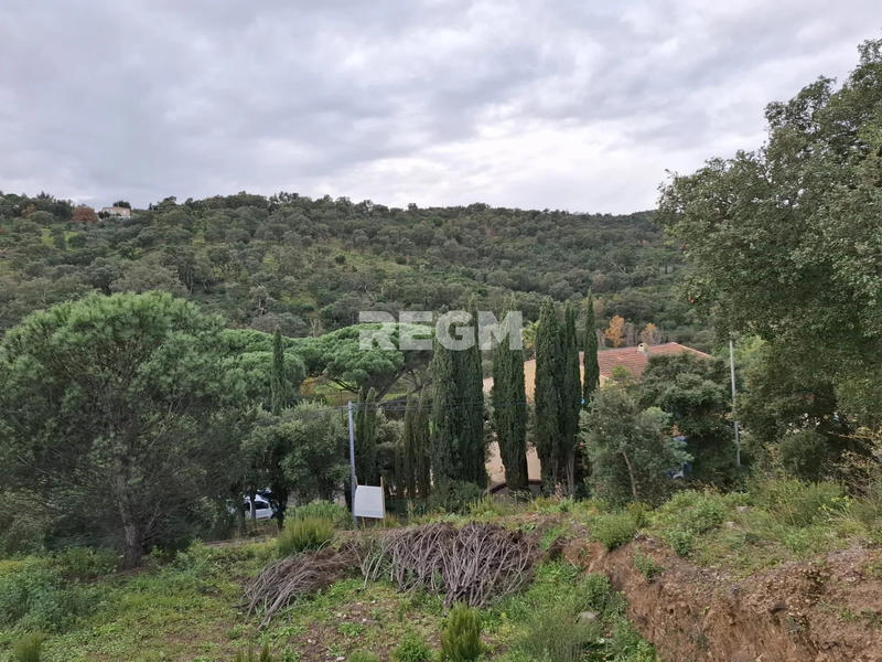 Terrain - 920 m²