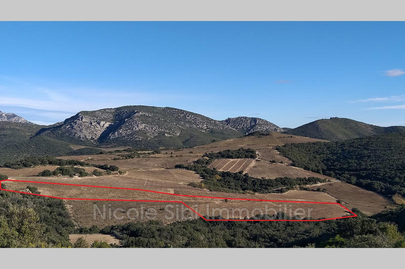 Terrain agricole - 21 183 m²
