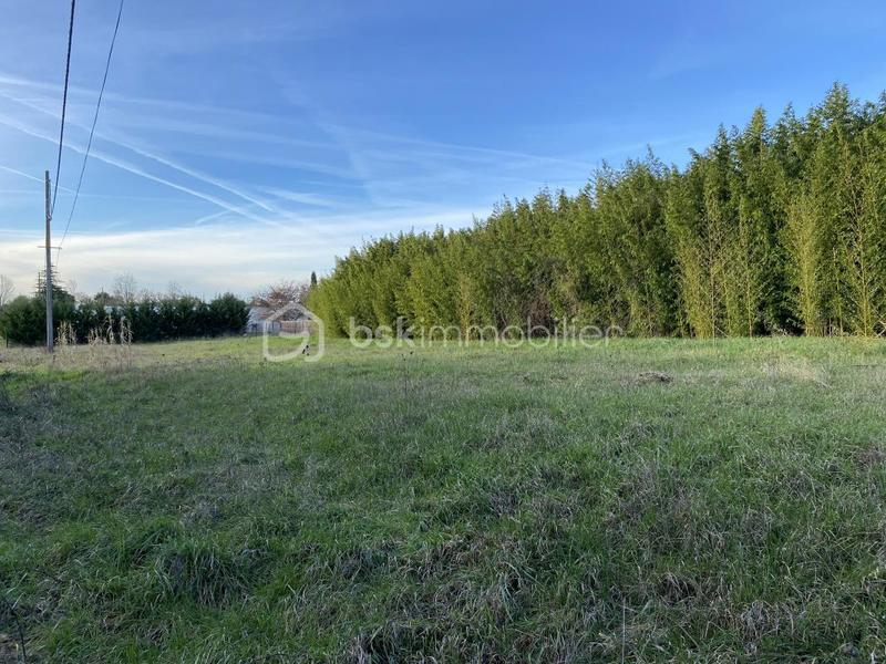 Terrain - 1 255 m²