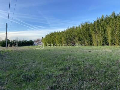 Terrain - 1 255 m²