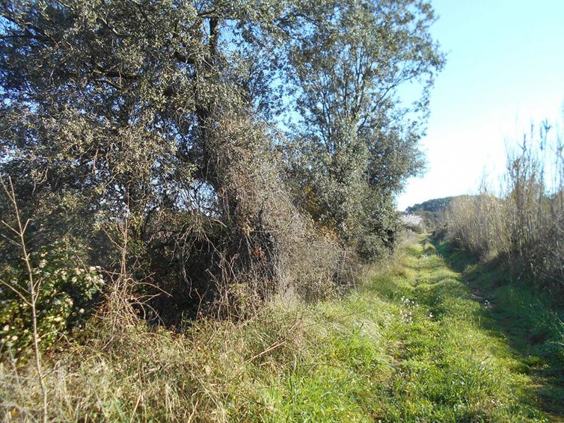 Terrain agricole - 6 270 m²