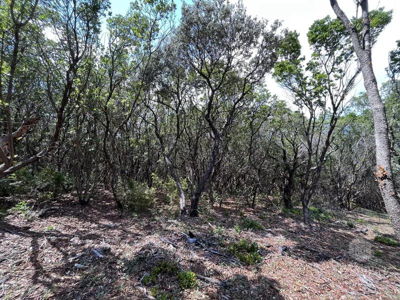 Terrain - 25 956 m²