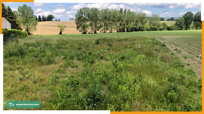Terrain constructible - 774 m²