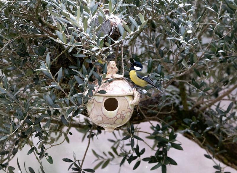 Terrain constructible - 865 m²