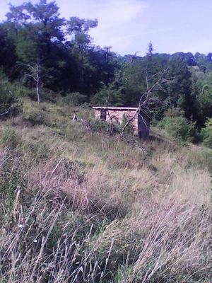 Terrain constructible - 8 317 m²