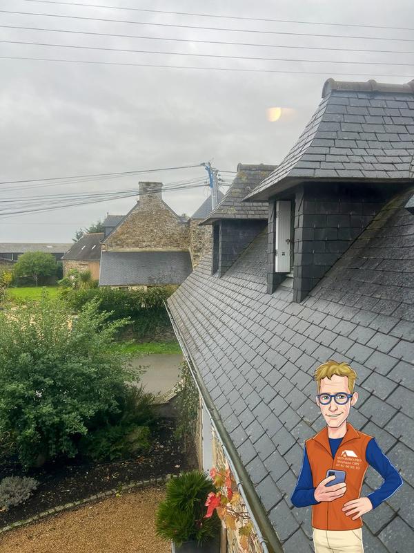 Maison ancienne - 295 m² - 7 pièces