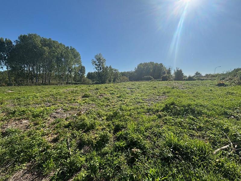 Terrain constructible - 5 500 m²