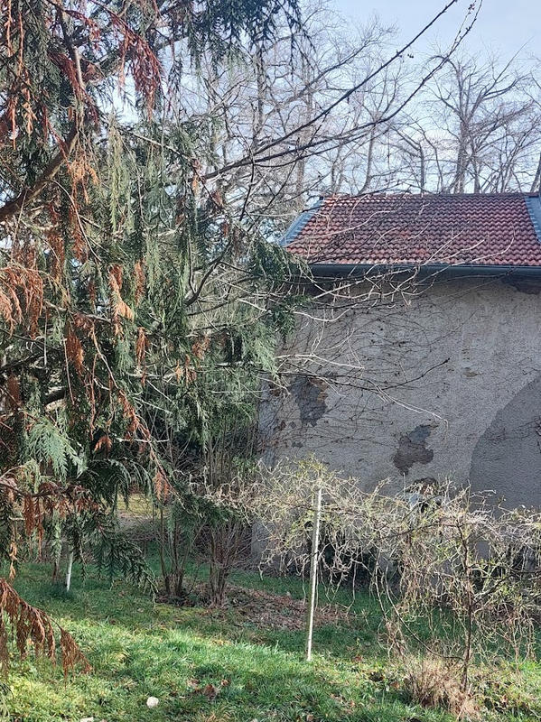 Propriété - 350 m² - 12 pièces