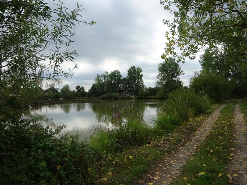 Propriété - 110 m² - 7 pièces