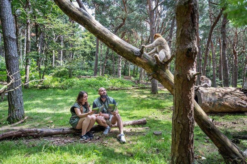Visite privée et petit déjeuner avec les singes