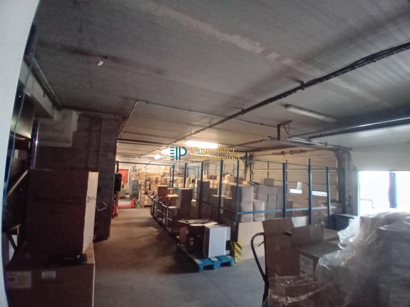 Local d'activités - 1 284 m²