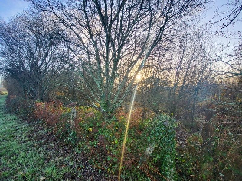 Terrain - 62 680 m²