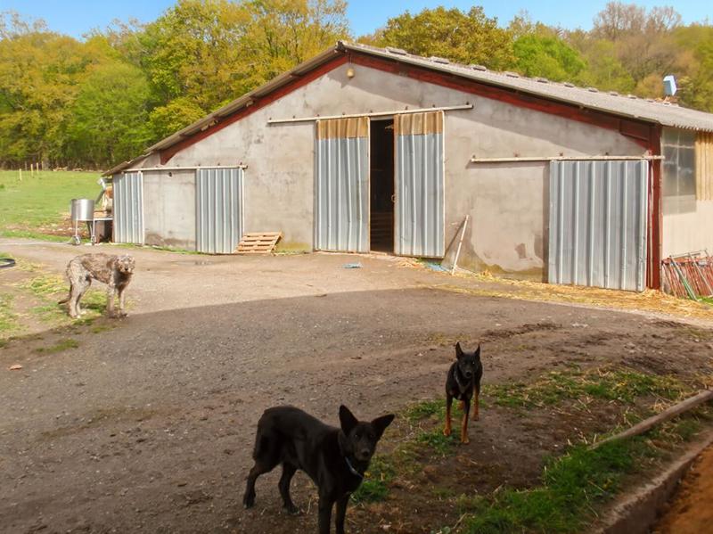 Maison - 167 m² - 7 pièces