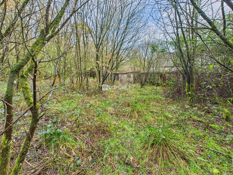 Maison - 53 m² - 2 pièces