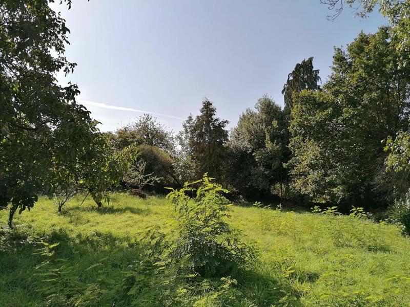 Terrain constructible - 800 m²