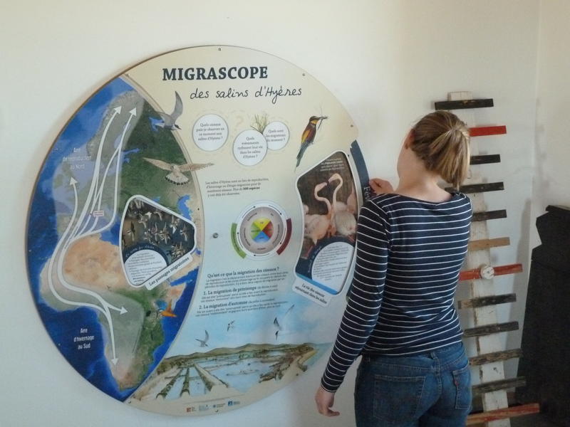 Espace nature des Salins d'Hyères