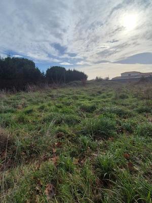 Terrain constructible - 1 274 m²