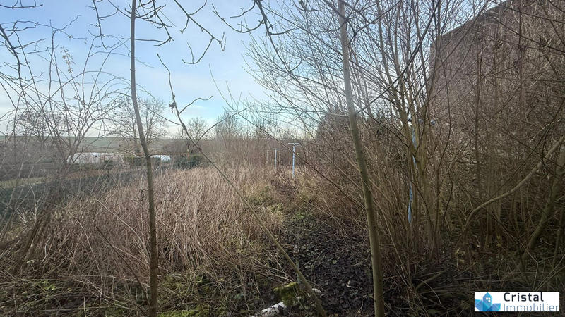 Maison ancienne - 128 m² - 5 pièces