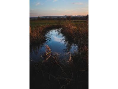 Marais en Carnet, balade au fil des saisons #1 : Automne