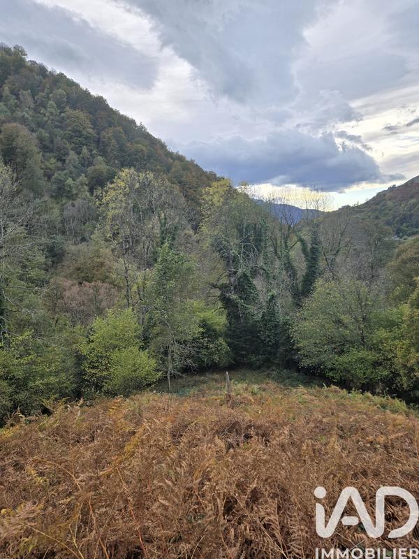 Terrain agricole - 3 915 m²