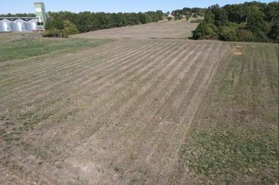 Terrain - 10 883 m²