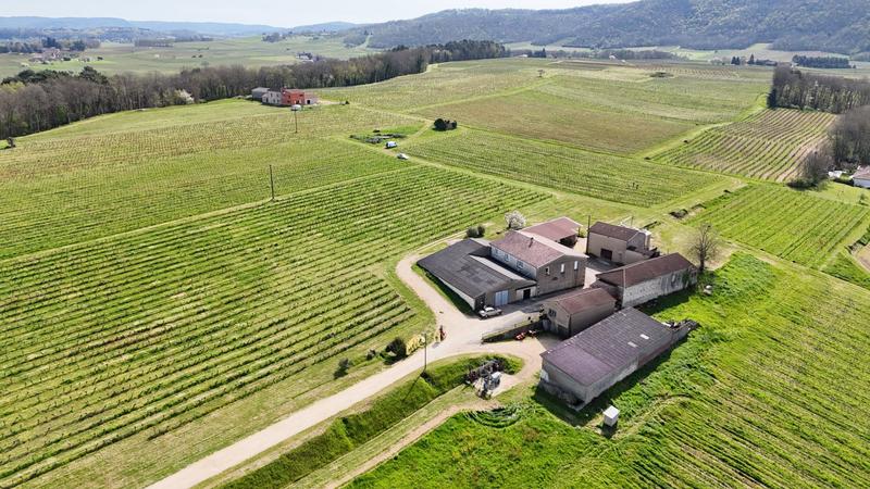Terrain agricole - 276 m²