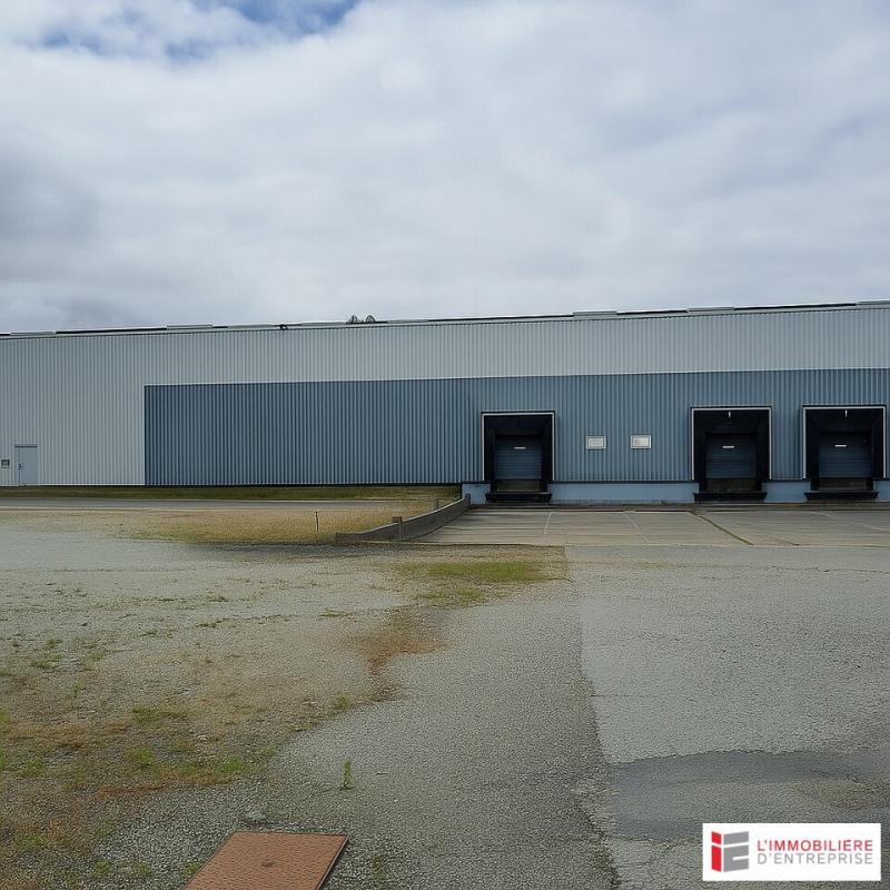 Entrepôt - 9 546 m²
